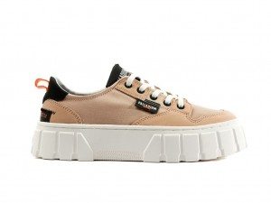 Basket Palladium Pallatower Lo Femme Beige | WG2576014