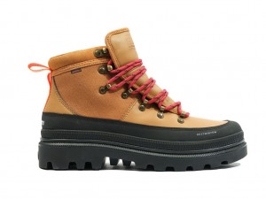 Botte Palladium Pallatrooper Hiker Wp+ Homme Apple Cinammon | OM1670239