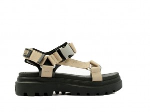 Sandale Palladium Pallacruise Strap Femme Dune | QA7938150