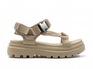 Sandale Palladium Pallacruise Strap Femme Beige Marron | YQ0649123
